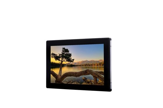 Monitor irregolare industriale del touch screen monitor/IP65 della compressa di Android