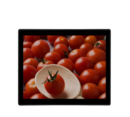 19&quot; monitor industriale VGA DVI del touch screen ha introdotto i chioschi impermeabilizza il monitor LCD