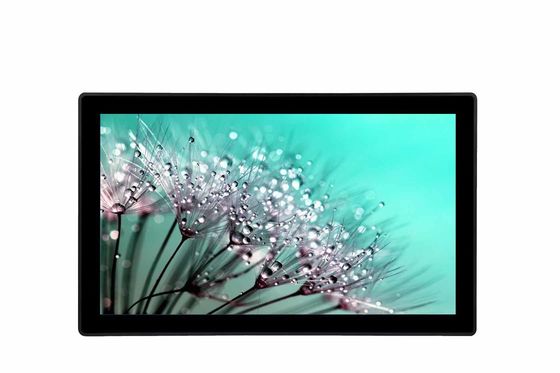 Il LCD di VESA Touch Screen Industrial controlla il controllo a 23,6 pollici di OSD